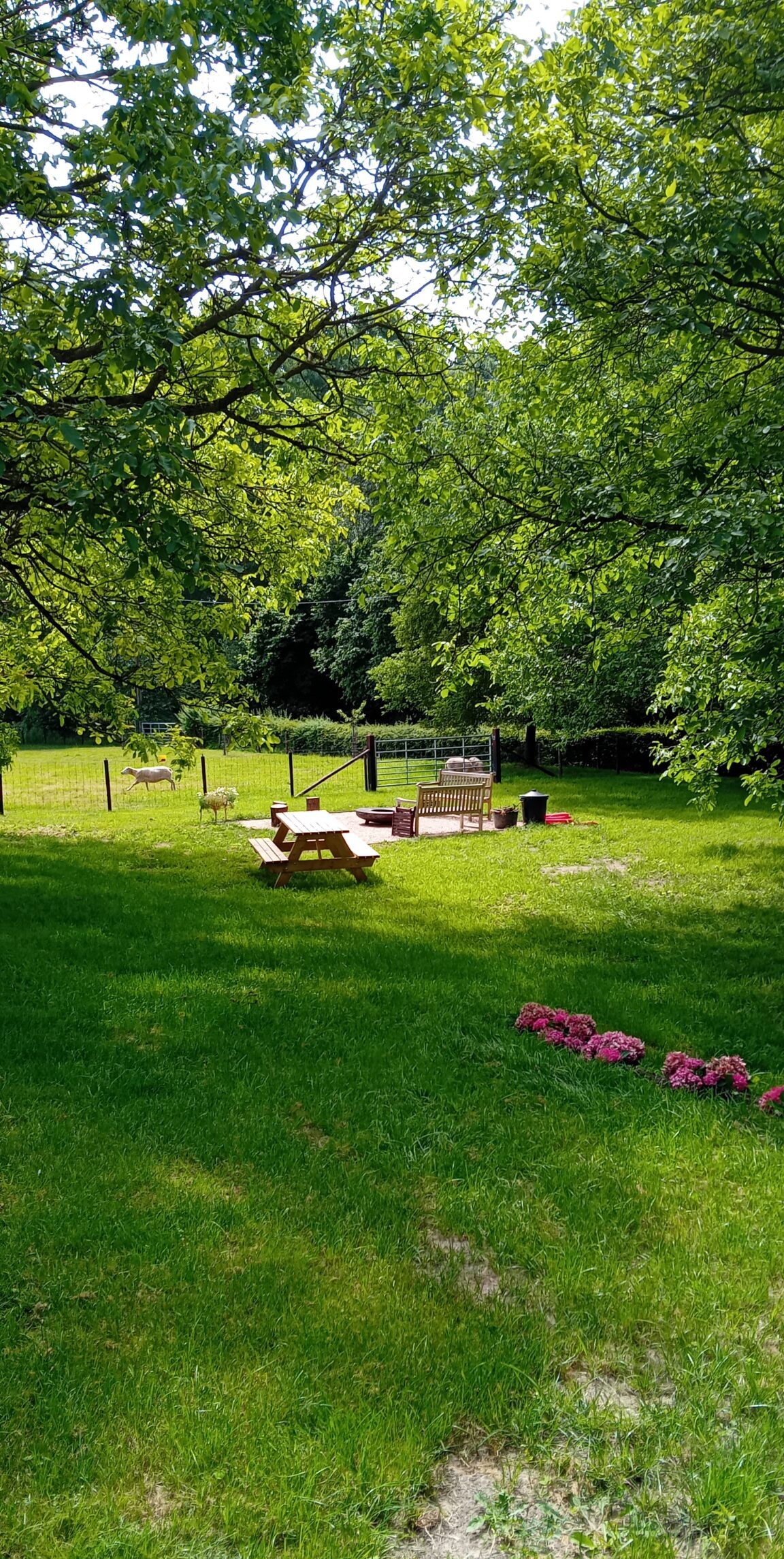 Tuin met vuurplaats bij Hof van Sassenbroek