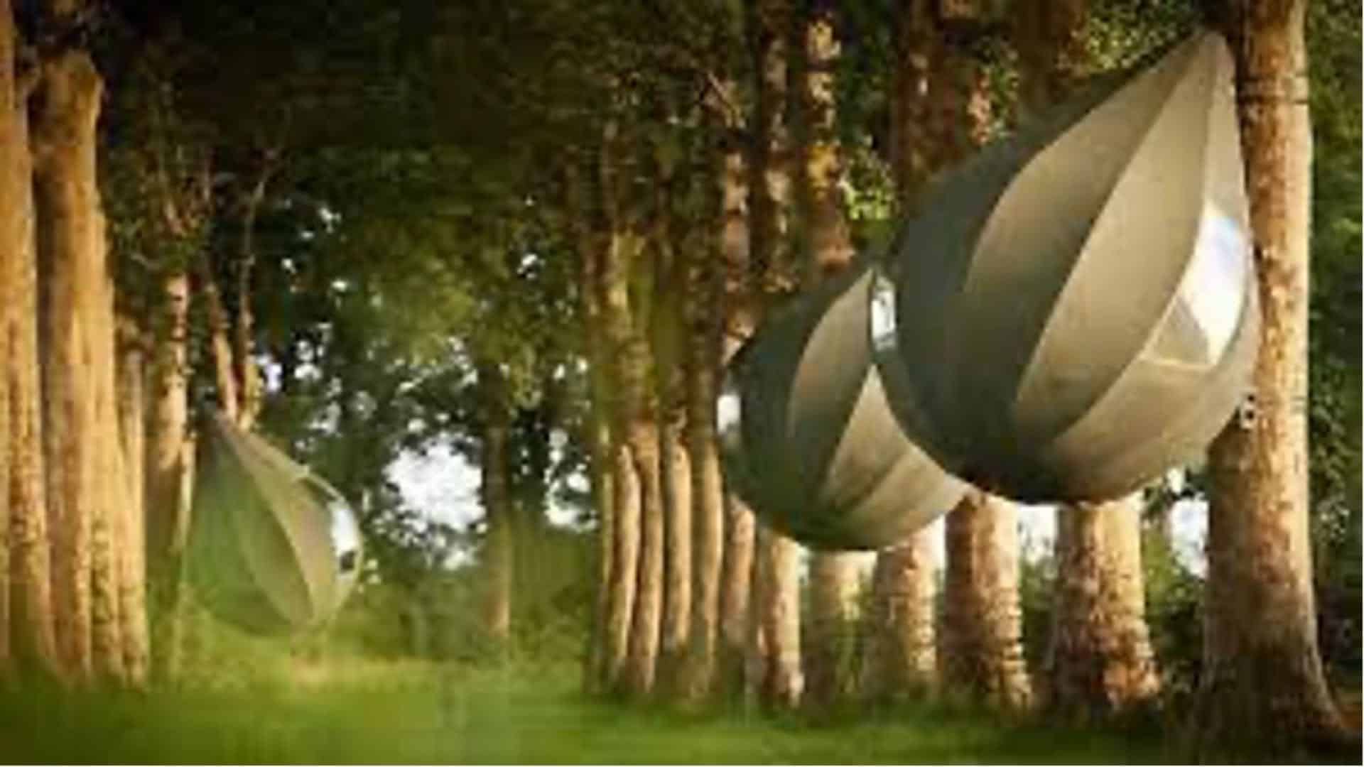 Kunstinstallatie in de Tranendreef