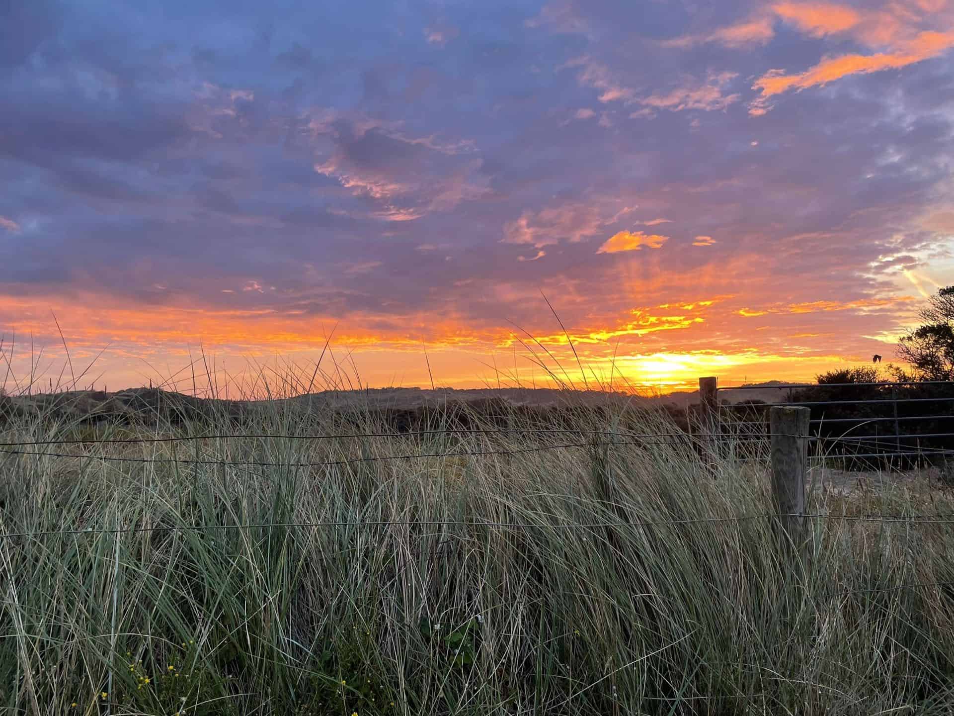 Zonsondergang boven een veld