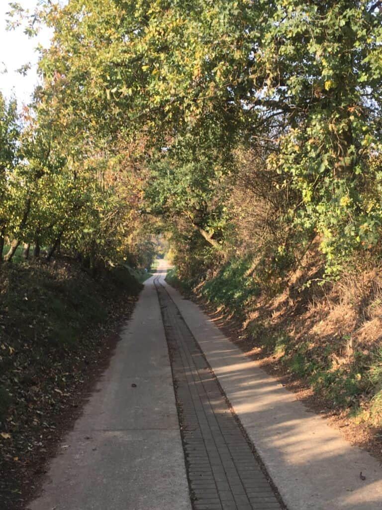 Fiets- en wandelpad tussen de hagen