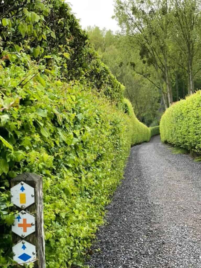 Smal wandelpad tussen groene hagen