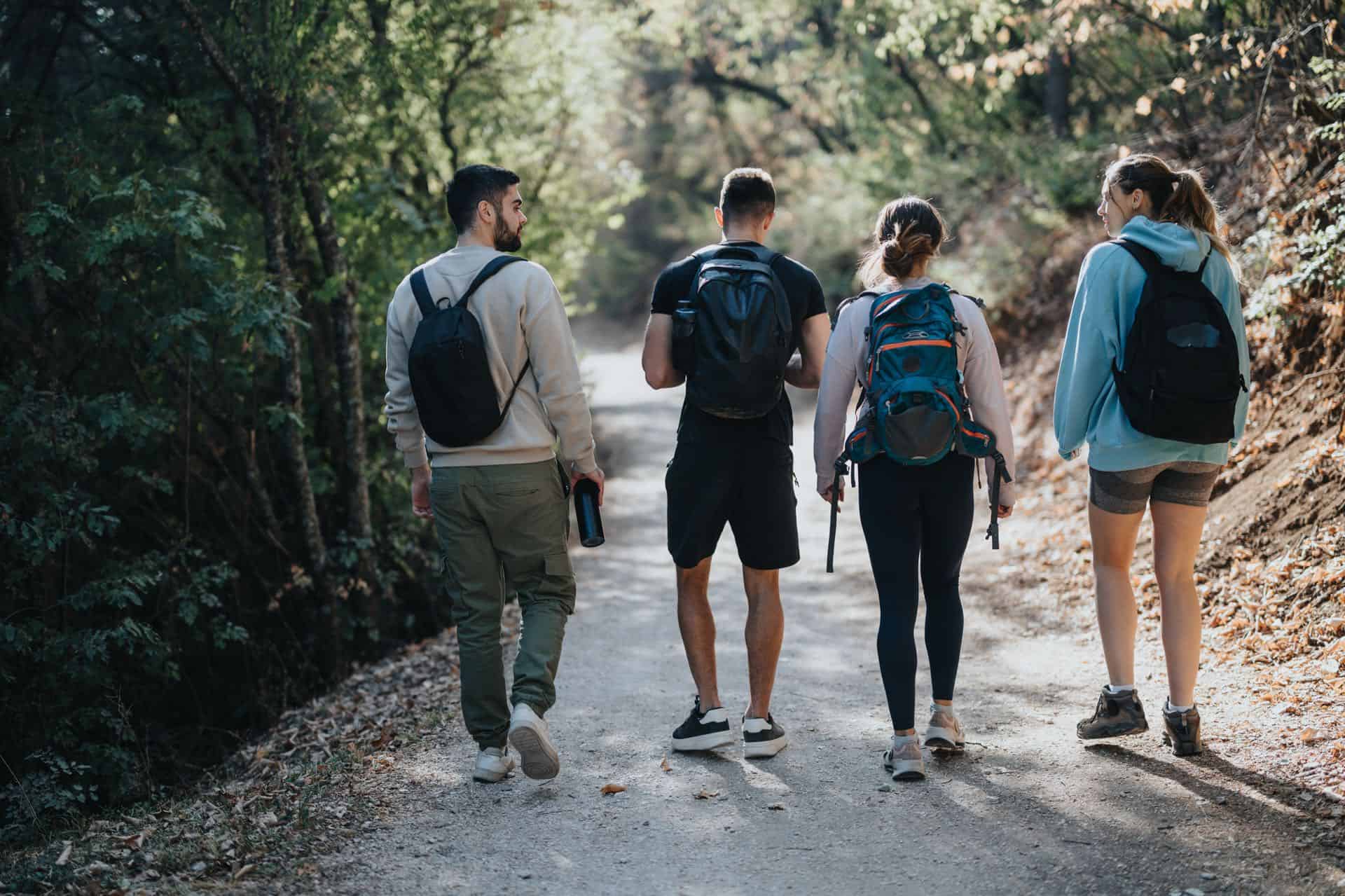 Wandelen in de bossen van Haspengouw