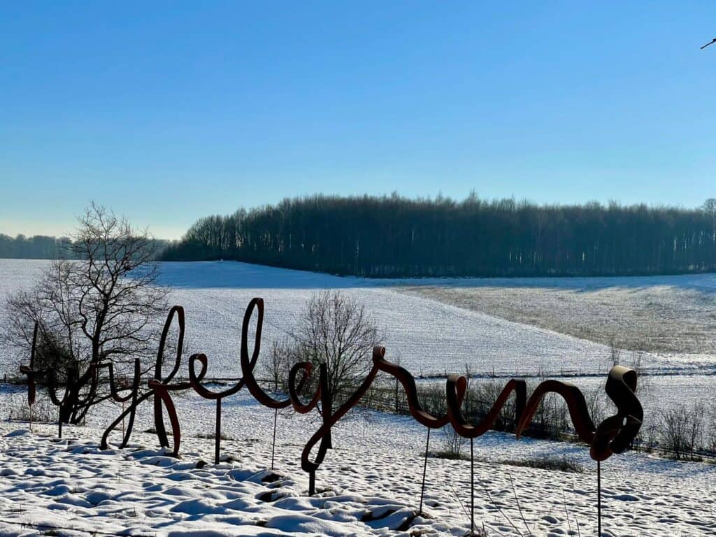 Hello winter in het besneeuwde landschap